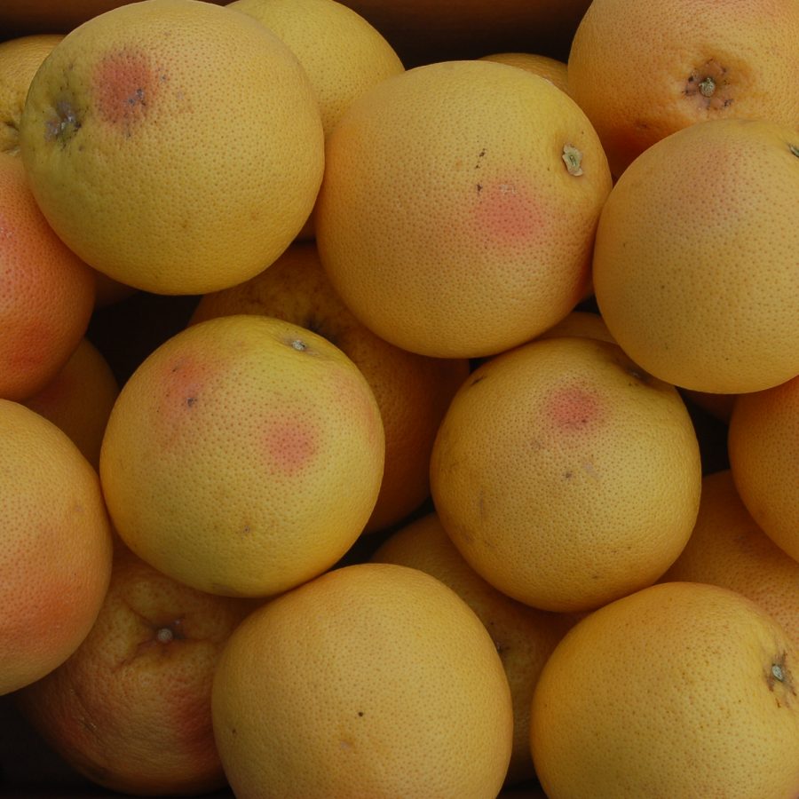 Pomelos ecológicos Caja de 9,5 kg  = 2,84€/kg