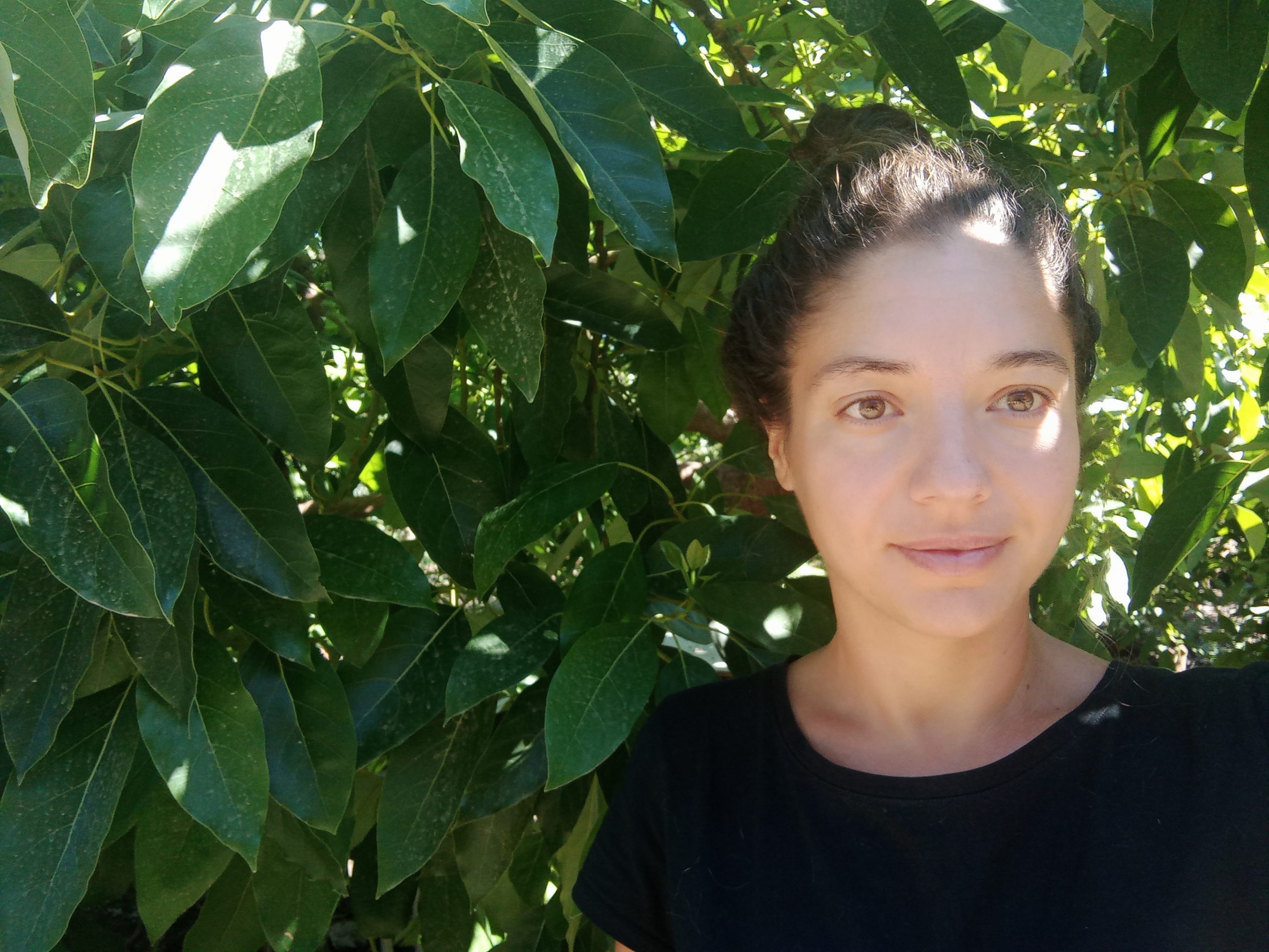 Belén Rodríguez - Avocats biologiques du Guadalhorce (Málaga)